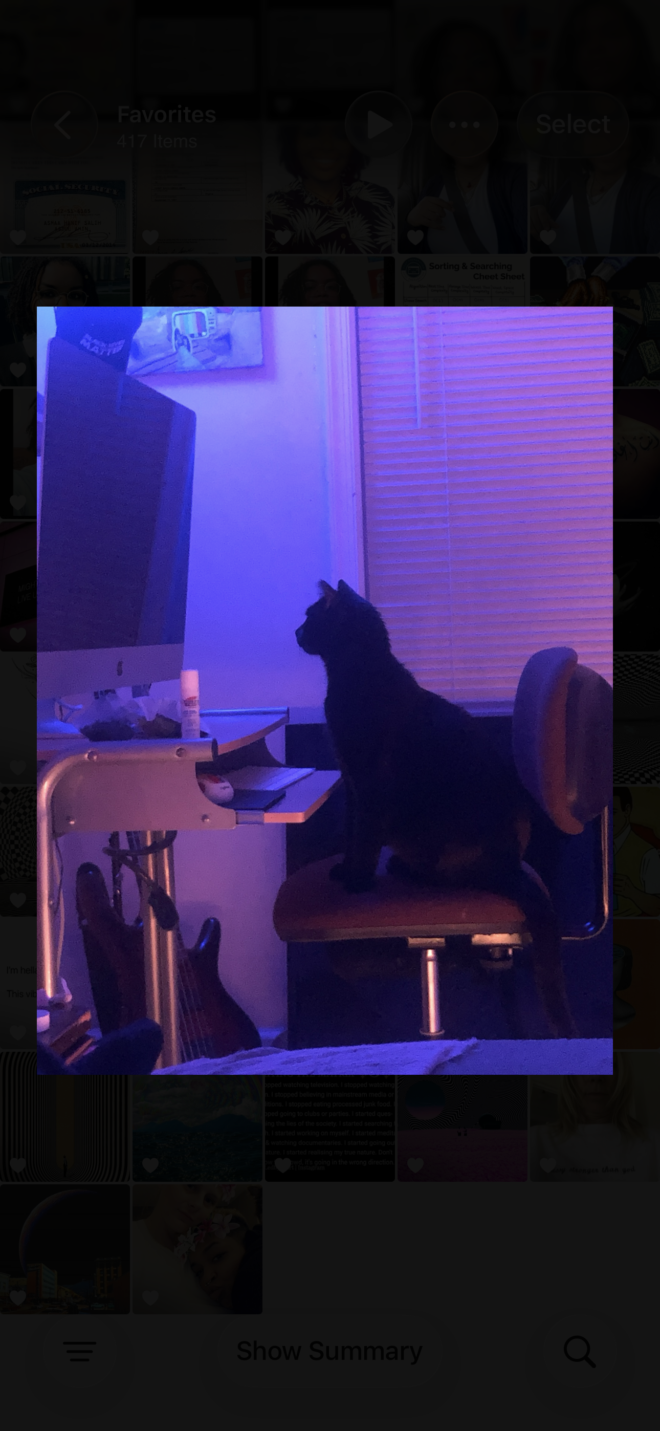 My cat supervising my desk